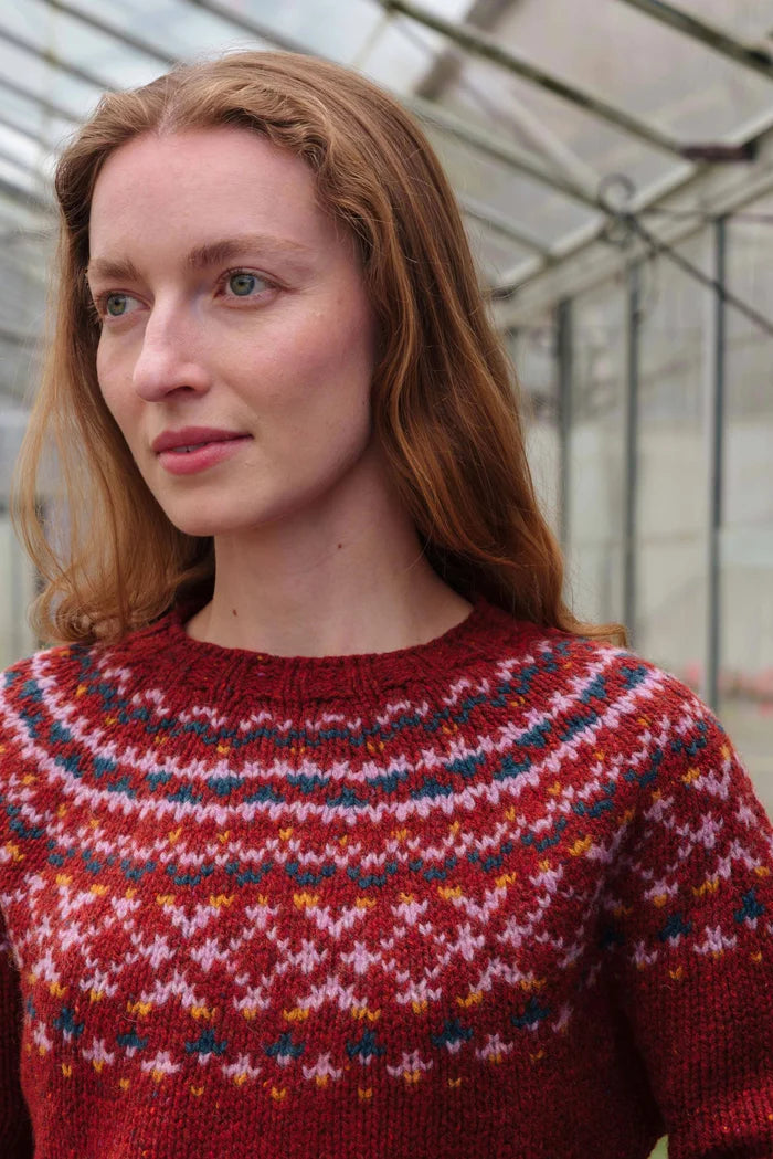 Donegal Chunky Fairisle Yoke Jumper in Rust Fleck