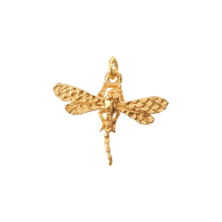 Dragonfly Charm On Simple Chain Necklace