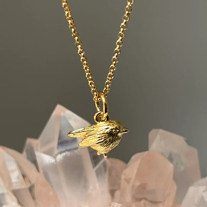 Robin Charm On Rollo Chain Necklace