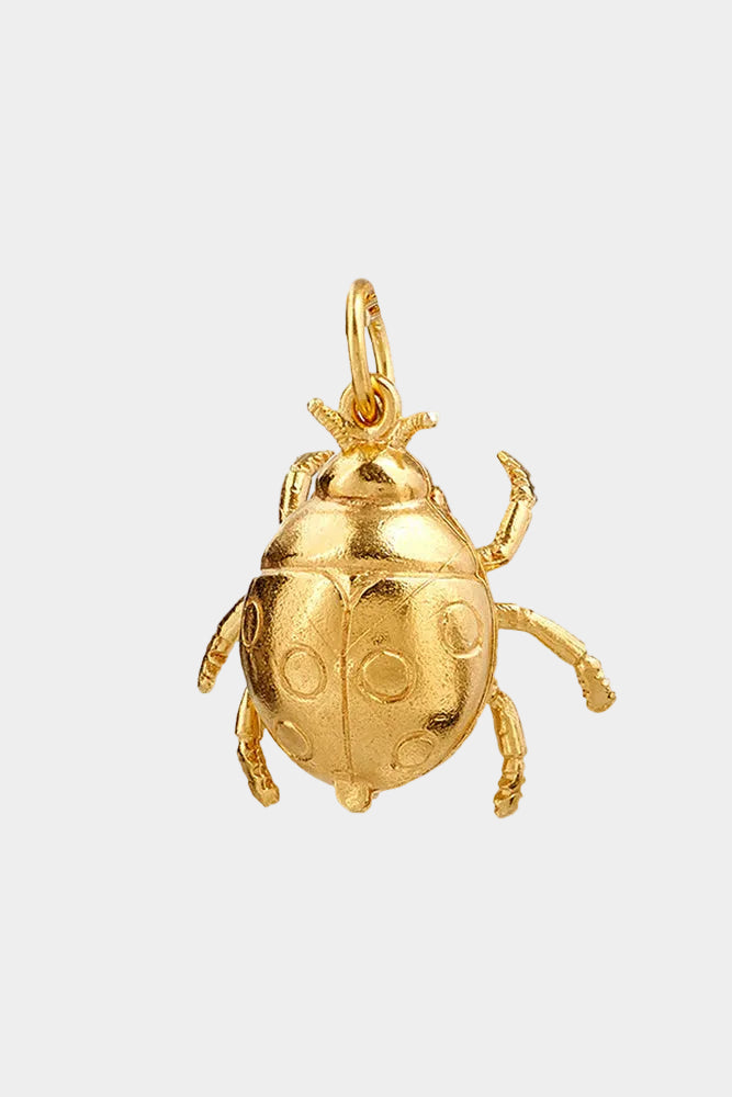 Large Ladybird Pendant Necklace