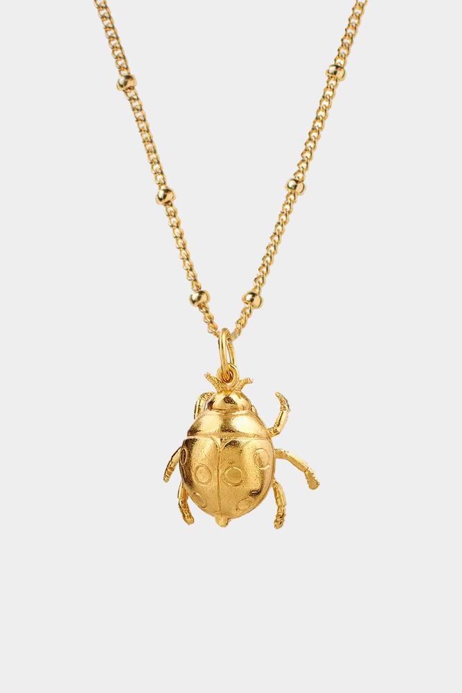 Large Ladybird Pendant Necklace