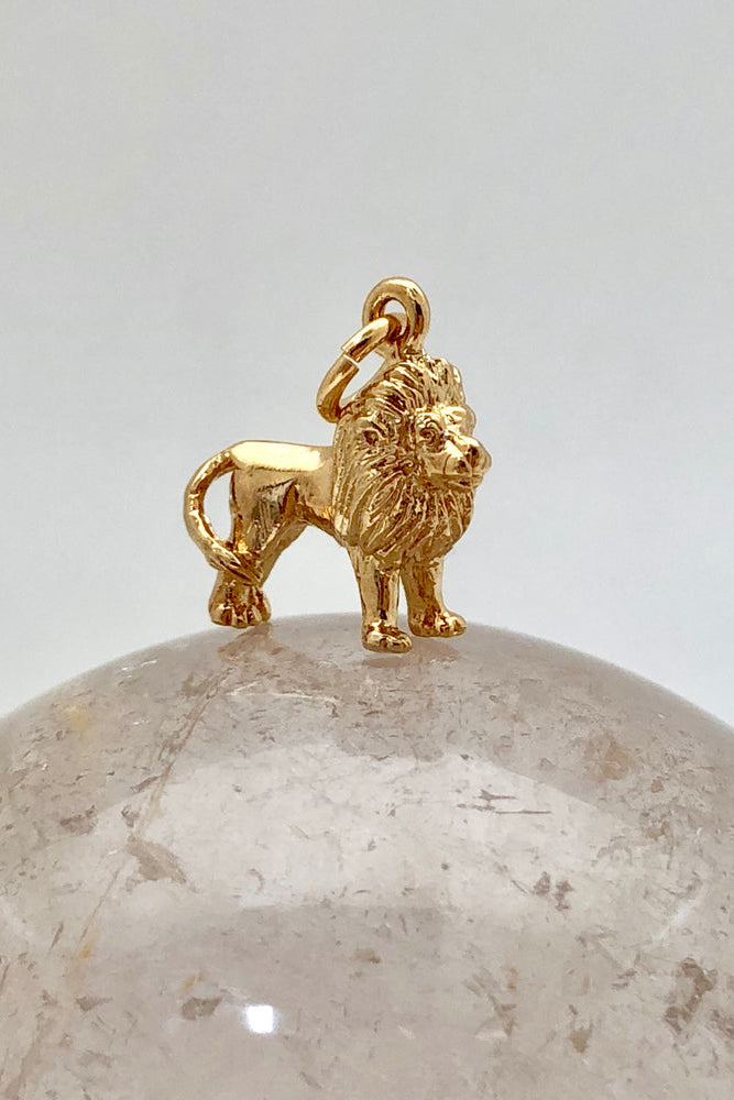 Lion Charm Necklace