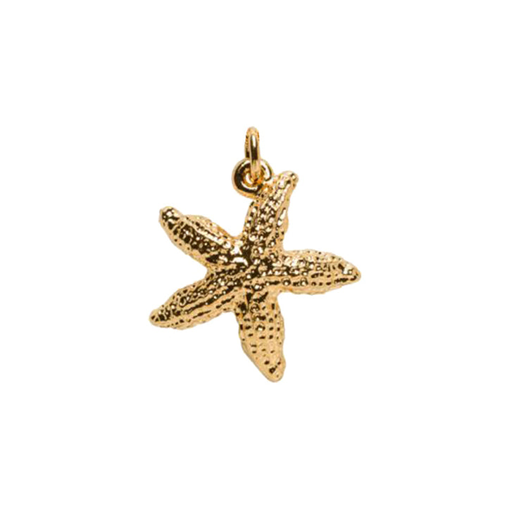 Starfish Charm Necklace on Simple Chain