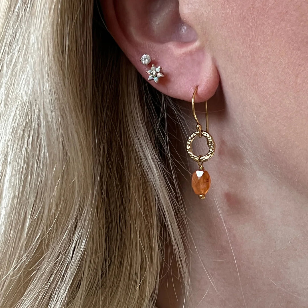 Gita Faceted Carnelian Earrings - Frontiers Woman