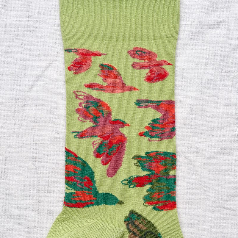 Bird Socks - Lime
