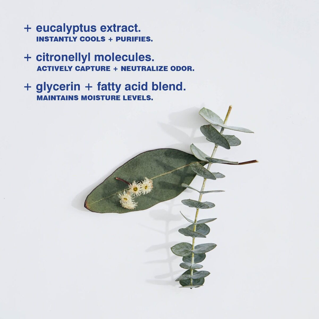 Eucalyptus Deodorant 73g